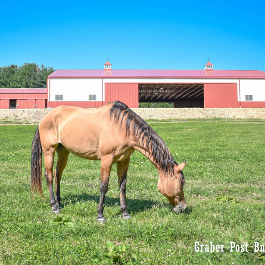 post frame horse barn